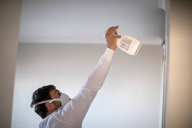 Best Mold Testing  in Eulyptus Hills, CA