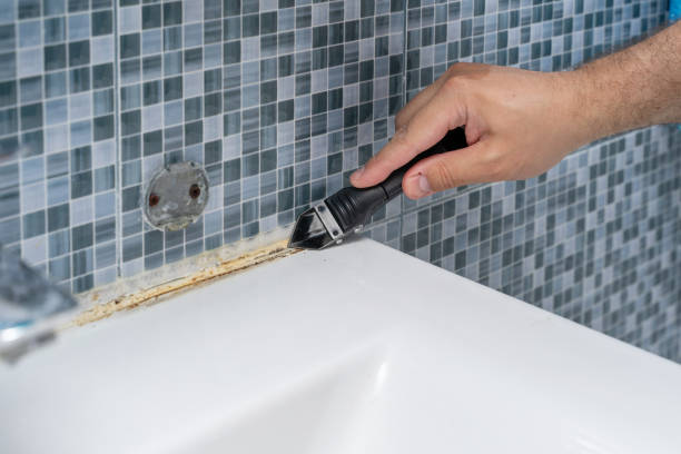 Best Local Mold Removal Service  in Eulyptus Hills, CA