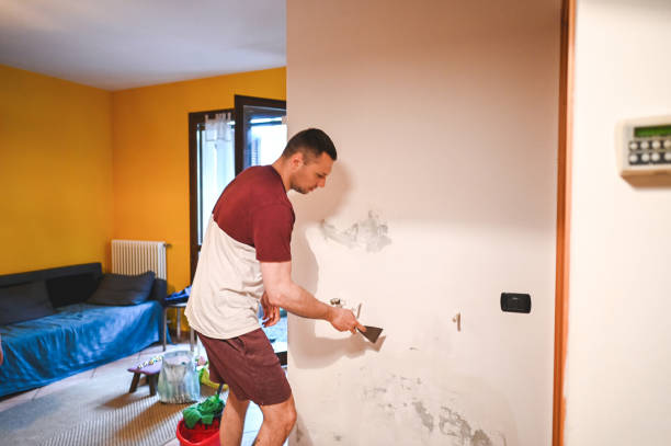 Best Mold Cleaning Services  in Eulyptus Hills, CA