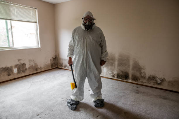 Best Mold Testing  in Eulyptus Hills, CA